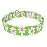 Green Daisy Sterling Premium Dog Collar